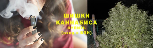 спайс Пересвет