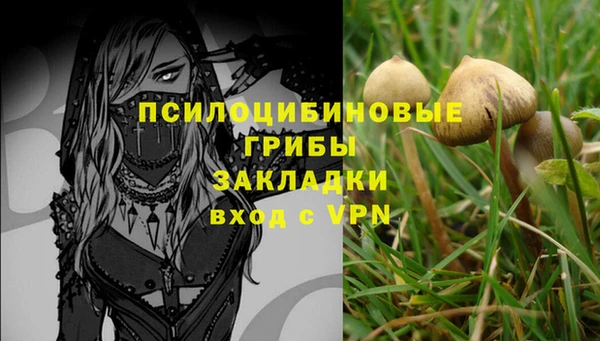 тгк Пестово