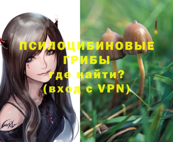 тгк Пестово