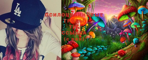 тгк Пестово