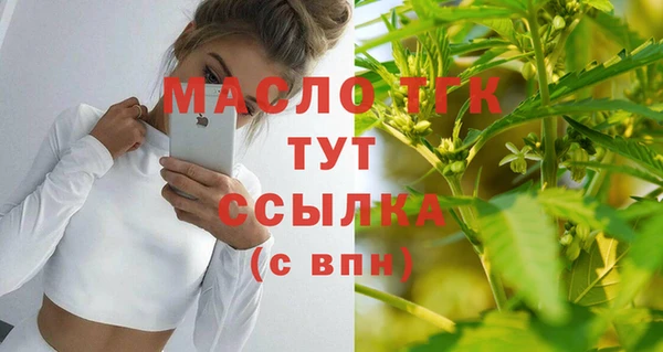 мдпв Вяземский