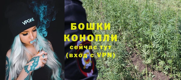 спайс Пересвет