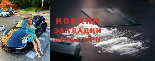 спайс Пересвет