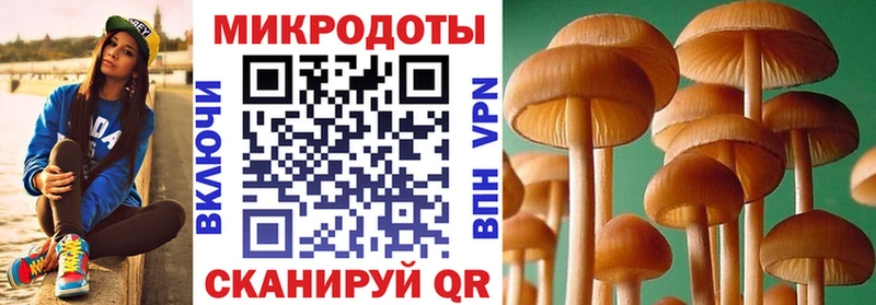 нарко площадка состав Артёмовский Псилоцибиновые грибы GOLDEN TEACHER купить наркотики цена